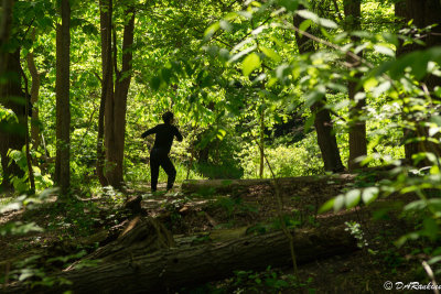 Tai Chi by Wilket Creek