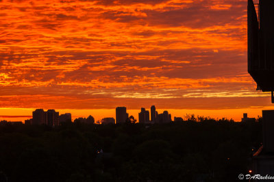 Morning in the East I