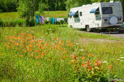 Summering in MacTier