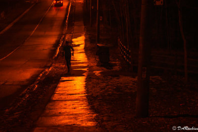 Night Runner in Winter