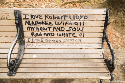 Love expressed on a bench