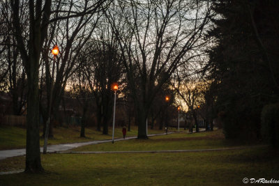Morning Walk 