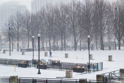 Walking Across Mel Lastman Square