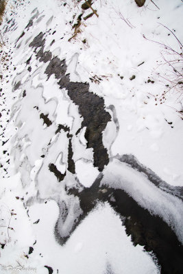 Abstract of Wilket Creek