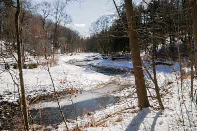 Rehabilitation of Wilket Creek