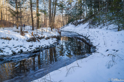 The Bend in the Creek