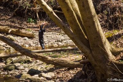 Boy in the Woods