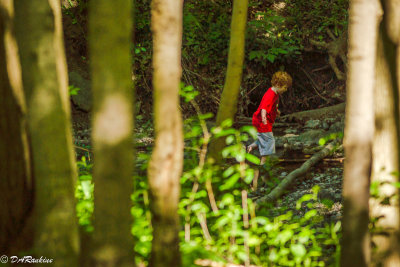 Boy in the Woods