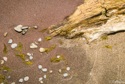 Pebbles and Driftwood