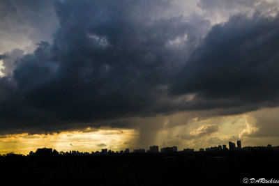 Rain 