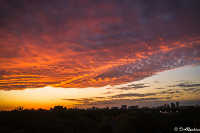 Evening's Threat of Rain