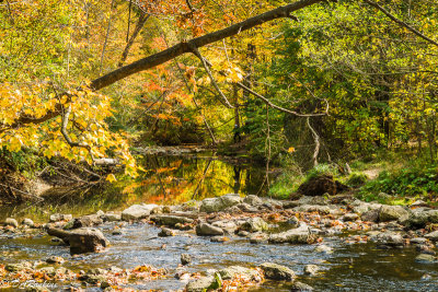 Wilket Creek in Autumn