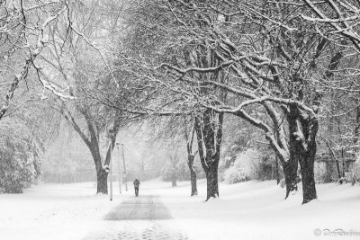 Snowfall and the Runner