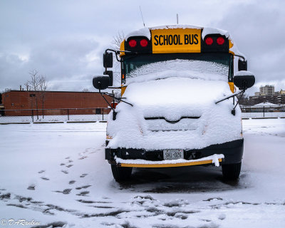School Bus in a time of COVID