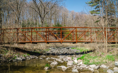 Bridge over Wilket Creek