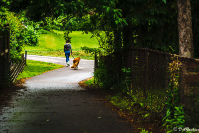 Woman and Dog