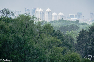 Rain in June