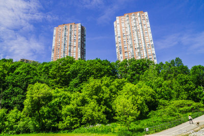 Twin Towers Over the Park