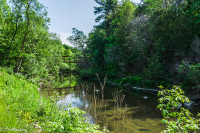 The East Don River