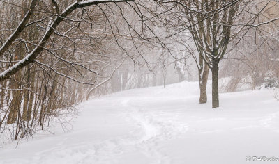 Footpath II