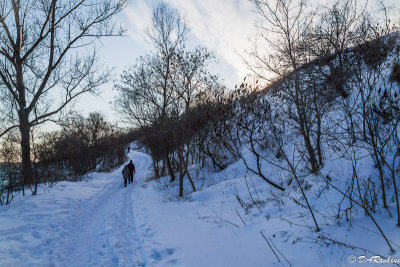 Walking just before sunset
