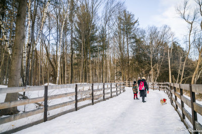 Walking the Don Valley Trails