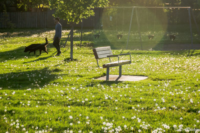 Man and his dog