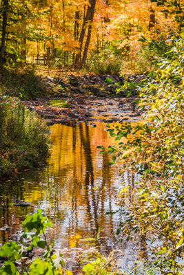 Reflections in Wilket Creek I