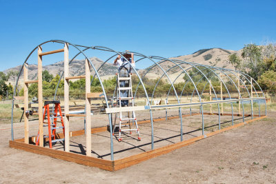 5946_Jims_Greenhouse.jpg