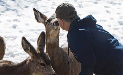 6610 Dave feeding deer Feb 13 2020.