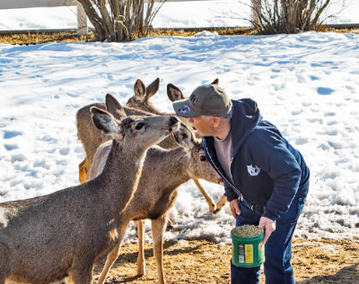 6647 Dave feeding deer Feb 13 2020.