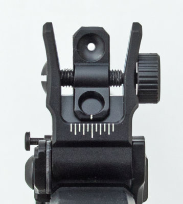 6829 DEL TON  with UTG Low Profile flip-up rear sight