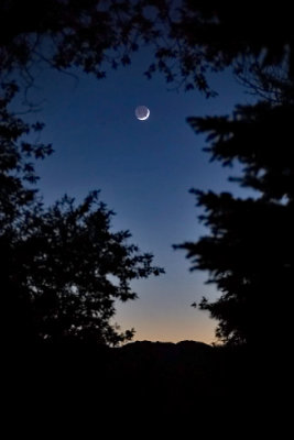 7230 Crescent Moon.jpg