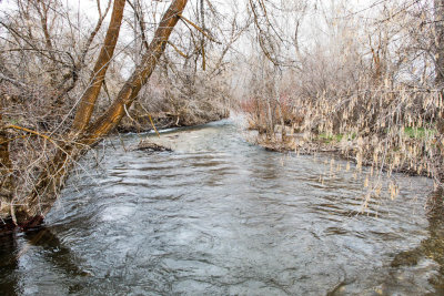 6998 River from bridge.jpg