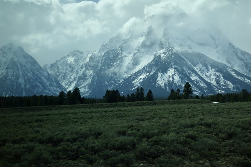 Grand Teton N.P.