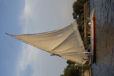 Felucca sailing