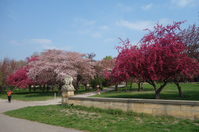 DSC01467.jpg