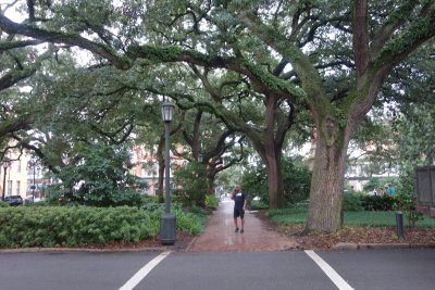 DSC02320.JPG