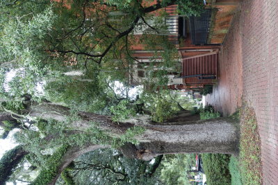 DSC02340.JPG