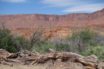 Colorado River Rafting