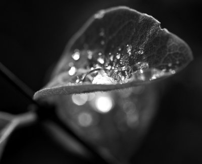 Illumination