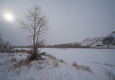 Cold Winter Walk