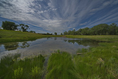 Beaver Pond