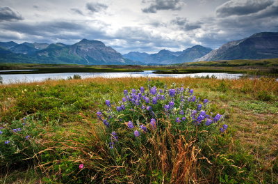 Waterton