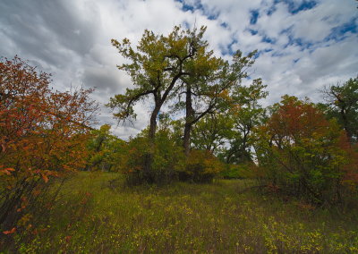 Autumn Moving In