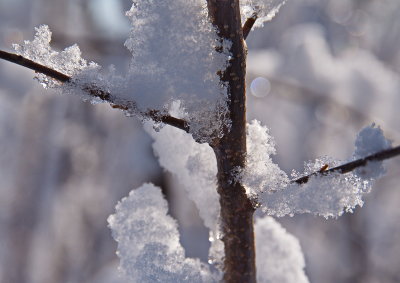 Ice