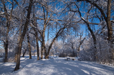 In The Park