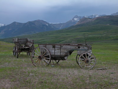 One of the first digital photos