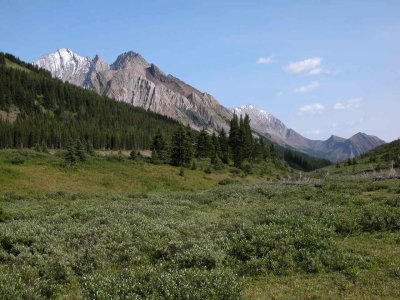 On The Mountain Pass