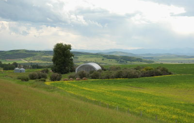 Mountain Valley Farmland